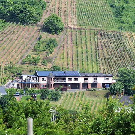 Urlaubsweingut Zecherhof Neef Εξωτερικό φωτογραφία