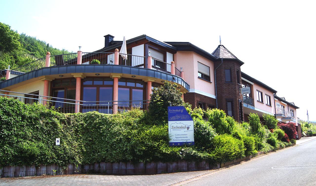 Urlaubsweingut Zecherhof Neef Εξωτερικό φωτογραφία