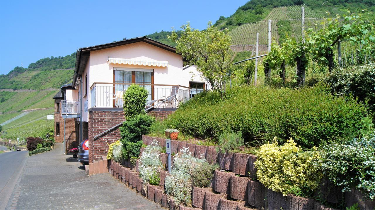 Urlaubsweingut Zecherhof Neef Εξωτερικό φωτογραφία