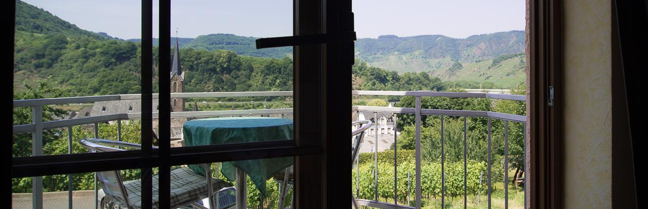 Urlaubsweingut Zecherhof Neef Εξωτερικό φωτογραφία